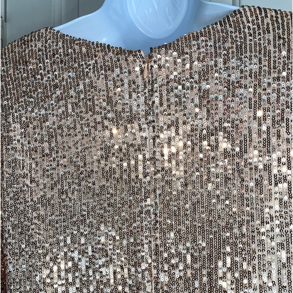 Preston & York Rosa Jewel Neck Long Blouson Sleeve Sequin Dress. Size 8.NWT! - Picture 9 of 12